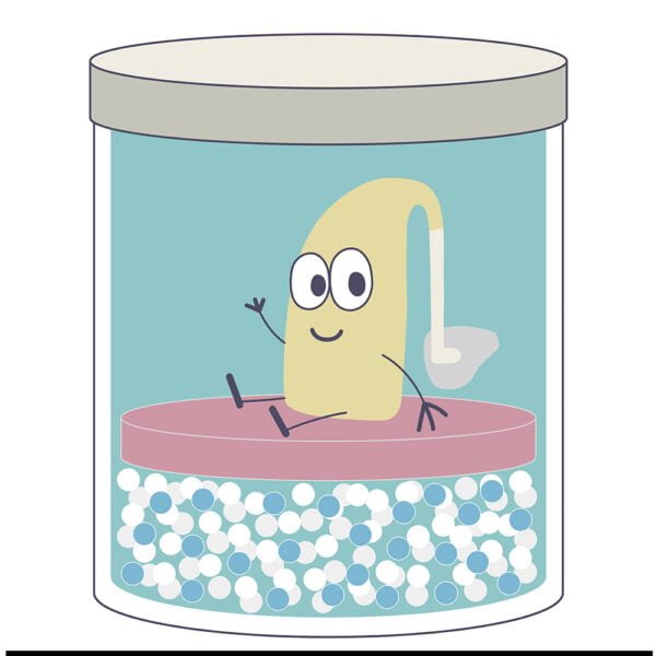 An illustration of jar with solution cleaning hearing aids